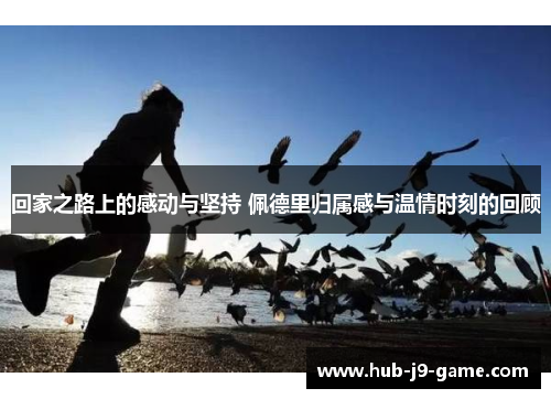 回家之路上的感动与坚持 佩德里归属感与温情时刻的回顾 回家之路上的感动与坚持 佩德里归属感与温情时刻的回顾