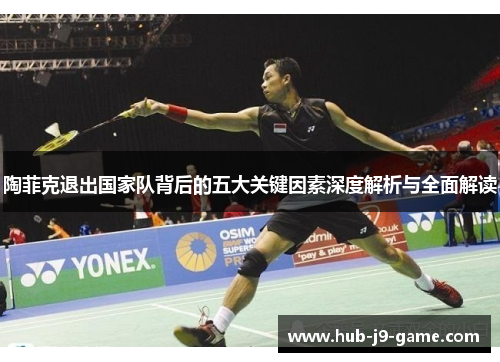 陶菲克退出国家队背后的五大关键因素深度解析与全面解读 陶菲克退出国家队背后的五大关键因素深度解析与全面解读